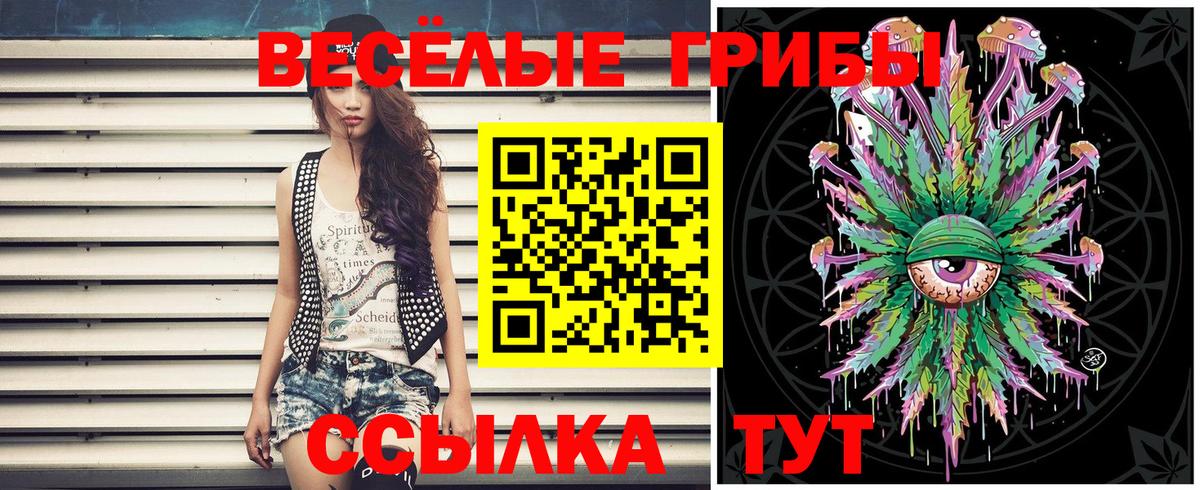 Псилоцибиновые грибы мицелий  Иваново  закладка  Псилоцибиновые грибы ЛСД 