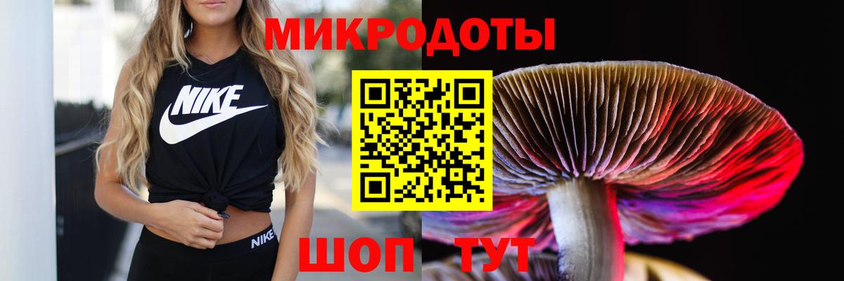Иваново  Галлюциногенные грибы Magic Shrooms  Вход с VPN 